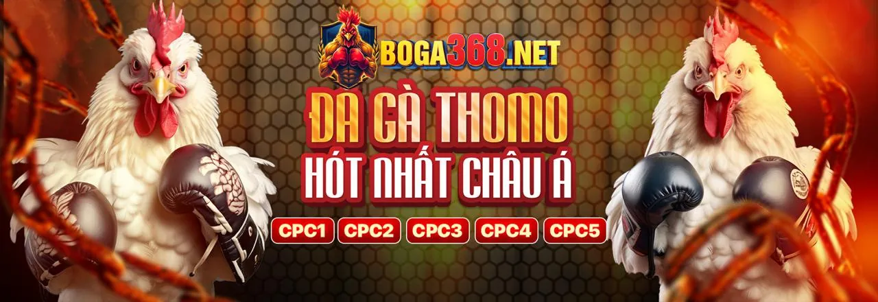 Giao diện đăng nhập B52WIN an toàn với chủ đề xanh vàng
